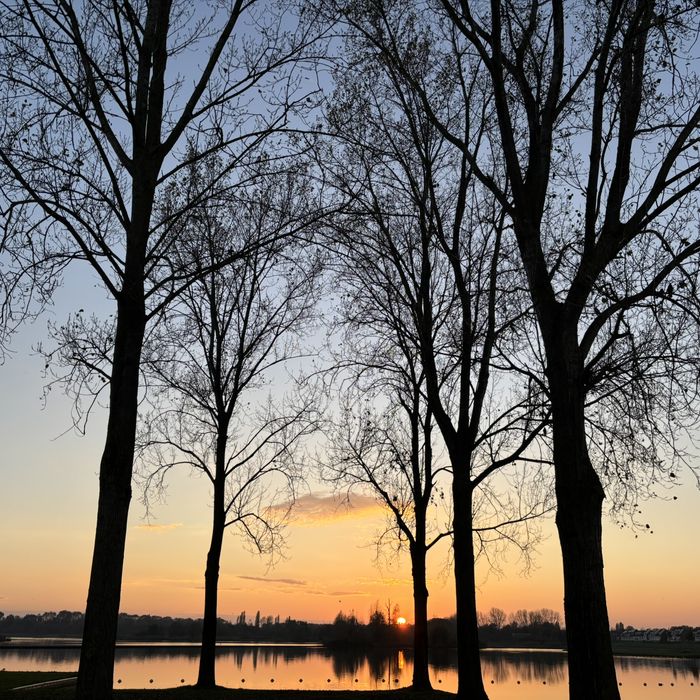 Foto 16