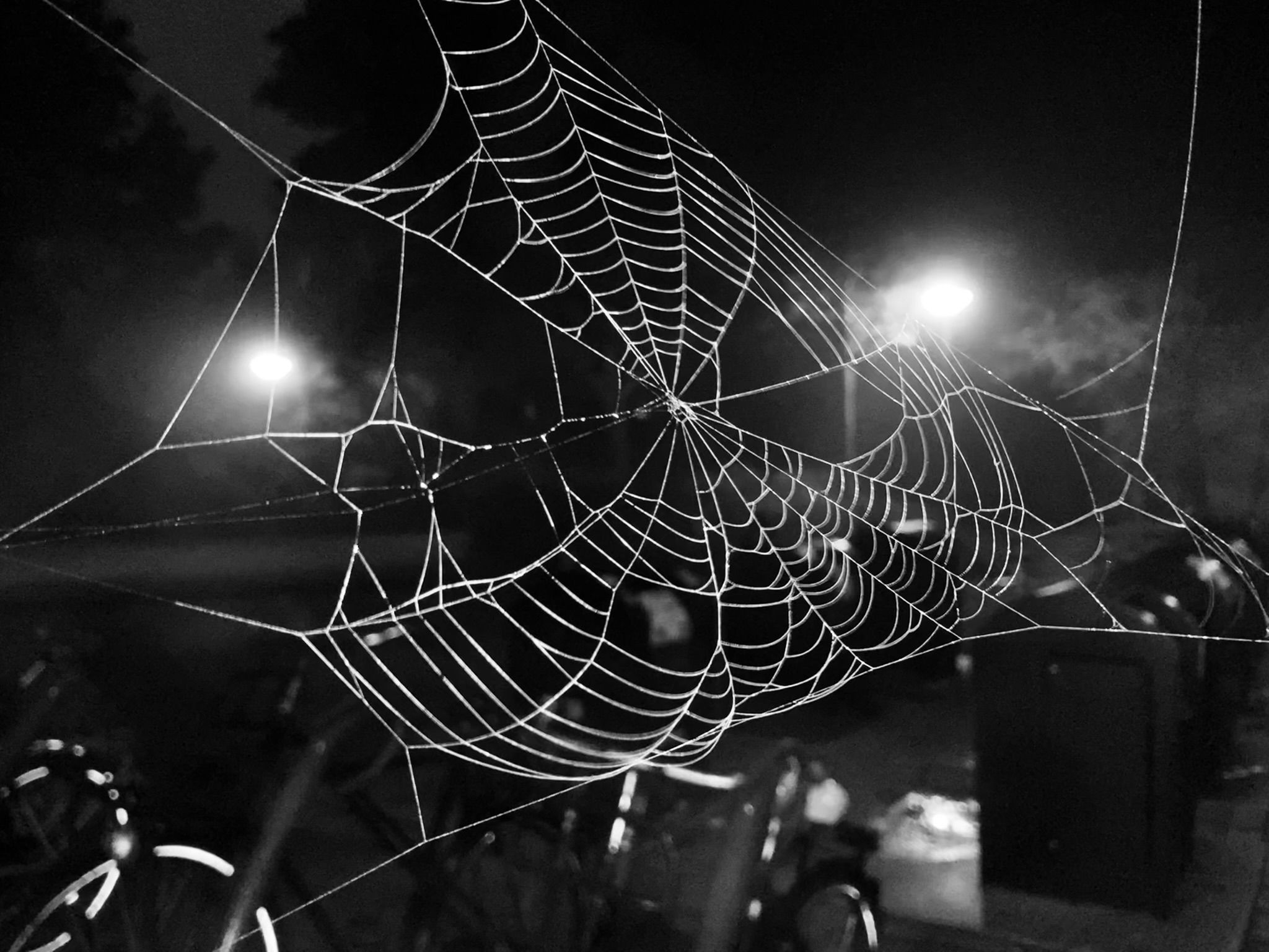 Spinnenweb bij nacht